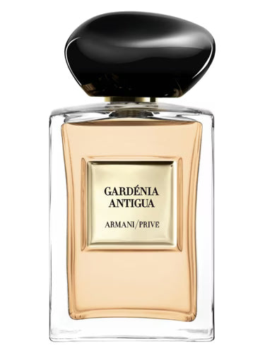 Gardenia Antigua Prive